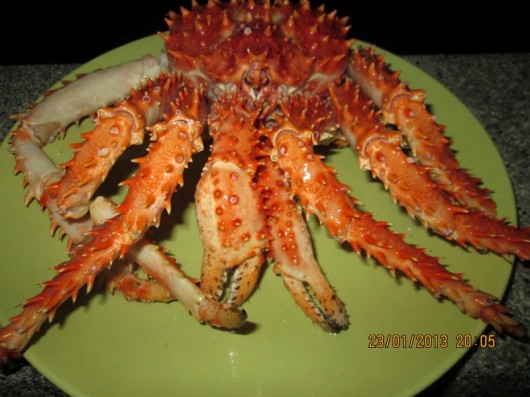 king crab (1)